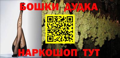 гидра Краснокаменск