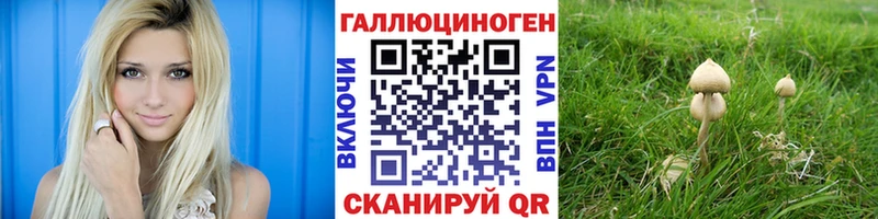 Галлюциногенные грибы Cubensis  Коряжма 