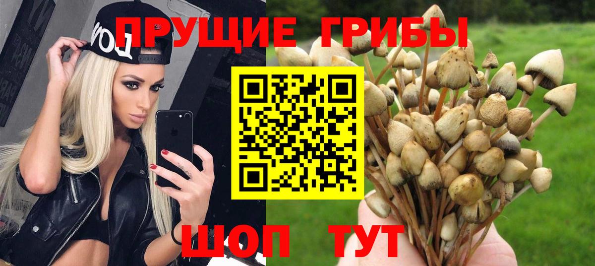 Галлюциногенные грибы MAGIC MUSHROOMS Коряжма