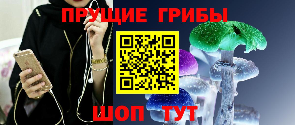 Коряжма  Псилоцибиновые грибы мицелий  Вход с VPN  купить наркоту  Псилоцибиновые грибы ЛСД 
